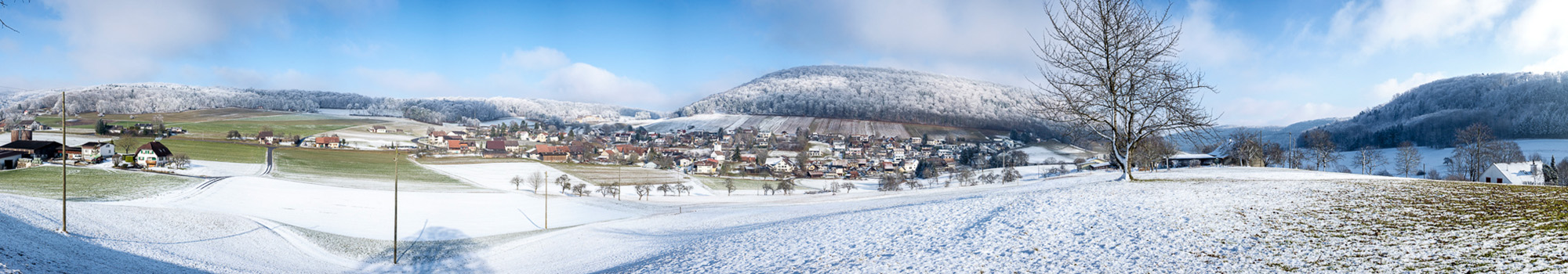 Bild Winter