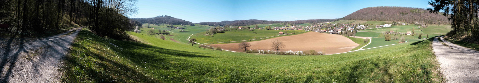 Frühling