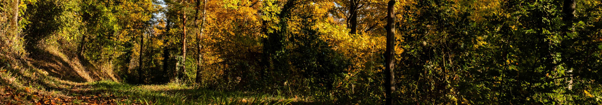 Herbst